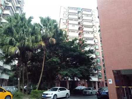 方半岛花园【东方半岛花园,业主出国生小孩诚