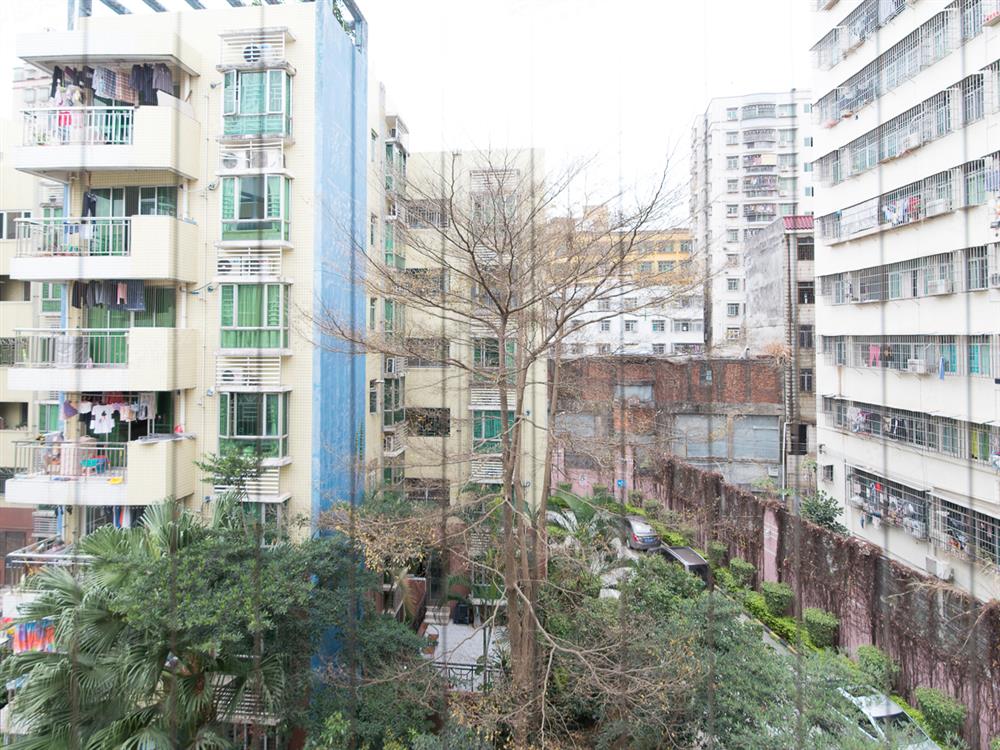 《金洲嘉丽园》特别安静的地段,适合休养身心,可看房,税费低