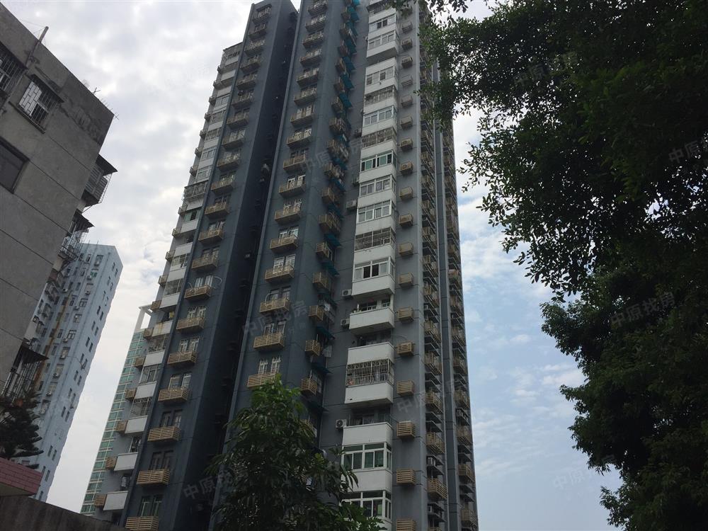 翠竹苑【】》翠竹苑啊翠竹苑————翠竹小学啊翠竹小学《【】深圳二