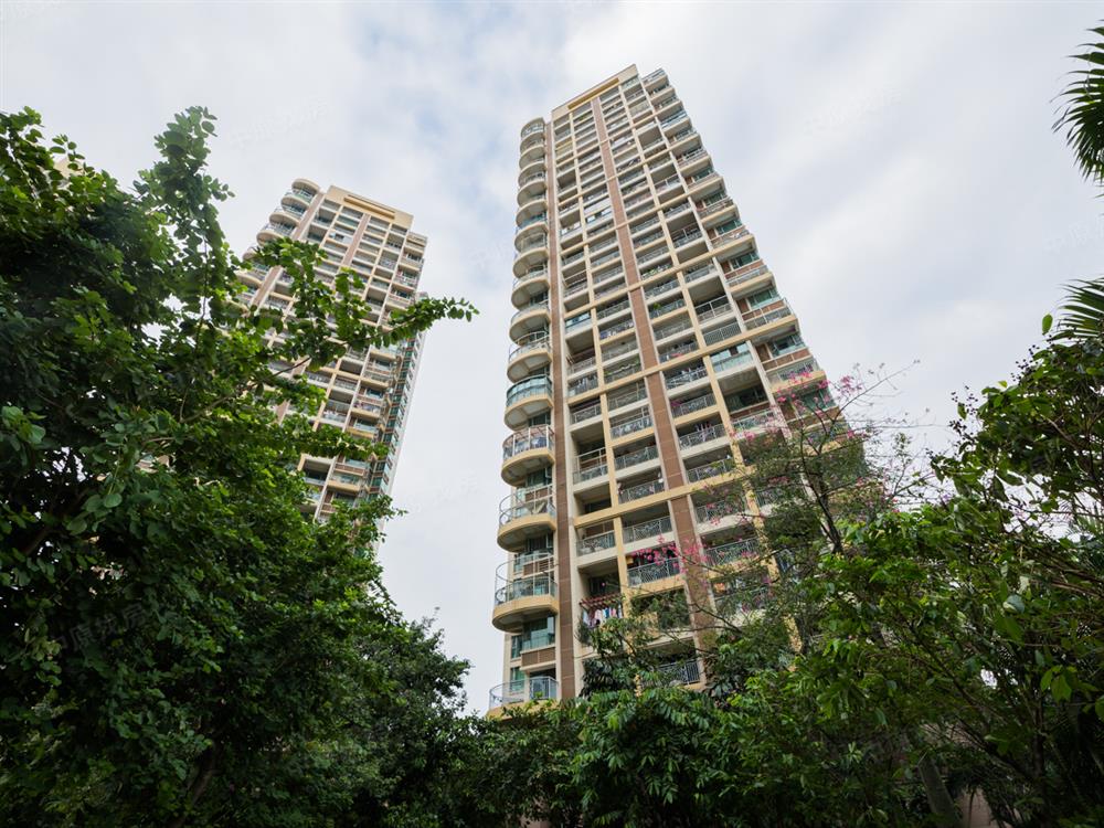 西城上筑 !客厅出阳台!楼层视野宽阔!业主诚心卖