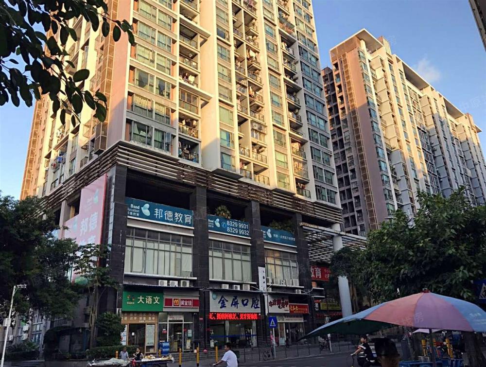 丹枫雅苑【业主急售 地铁口 新华学位 刚需电梯1房 】深圳二手房-中原