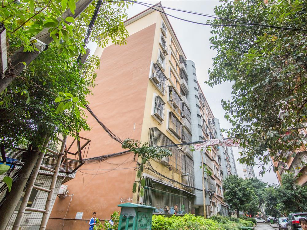 【满五年 红本在手 业主置业换房 价格面谈】-吉星花园二手房-深圳